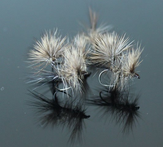 3 Moscas- MF5  "March Brown"