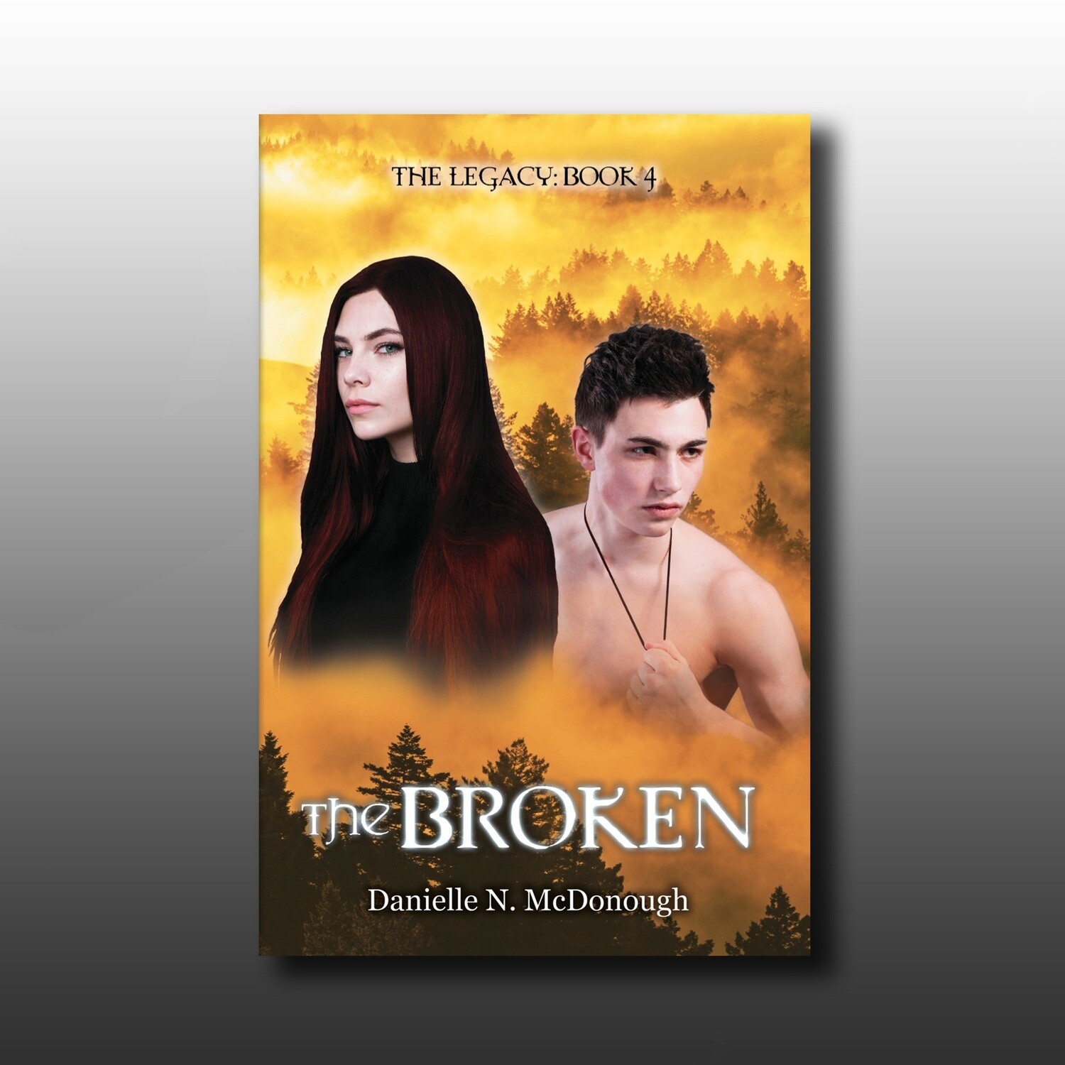 Book 4: The Broken