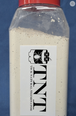 Medium Jar
