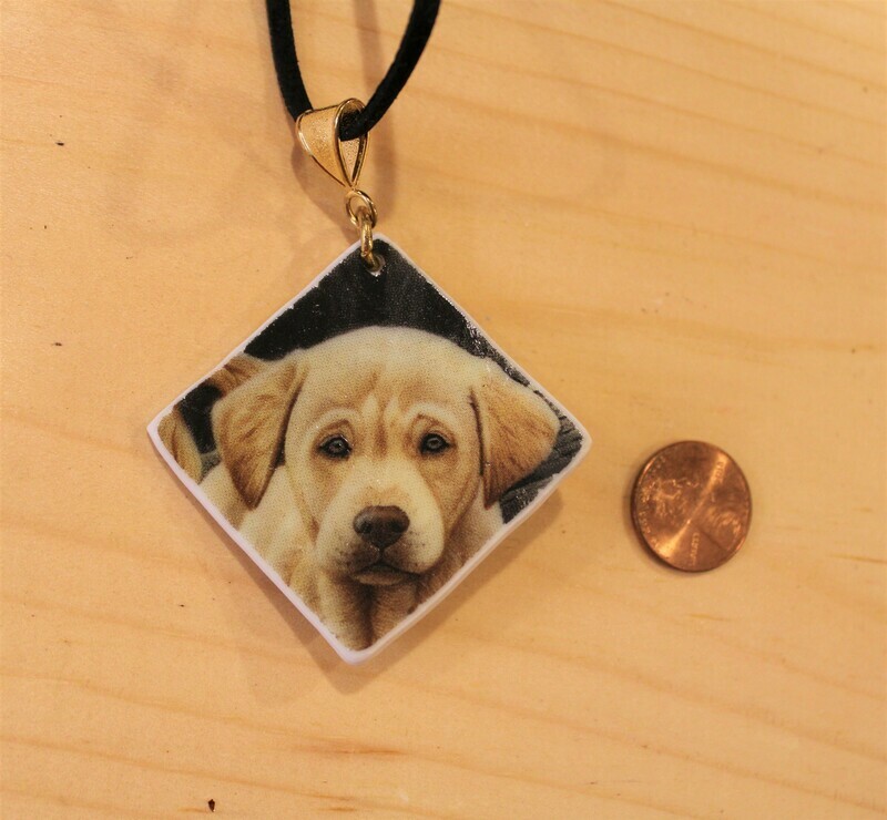 Yellow lab
