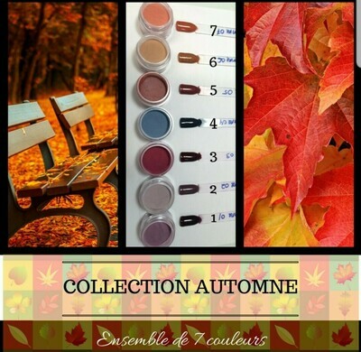 Collection Automne a l'unité Collection Automne a l'unité