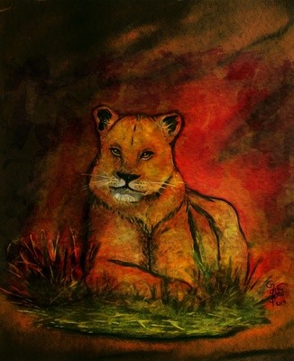 Animaux