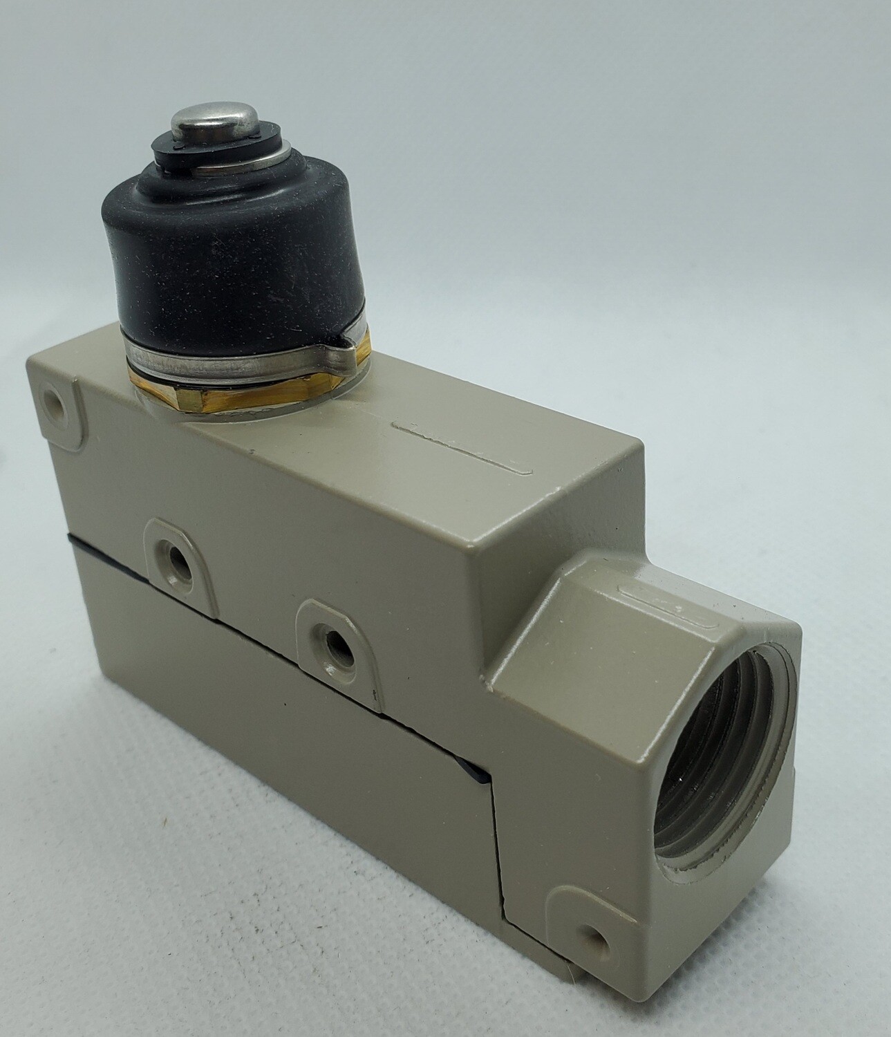 SWITCH-SNAP ACTION, ENCLOSED  PLUNGER