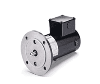 Motor - 1/6hp, 90V (BLS 360/480)