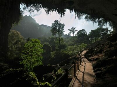 4D3N Miri + Niah Cave & Loagan Bunut National Park