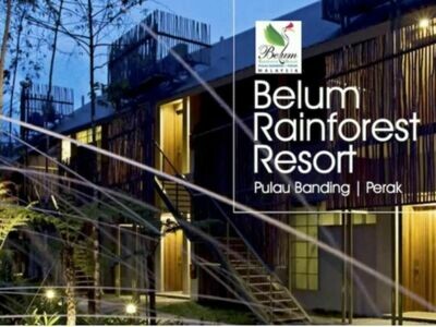 3D2N Belum Rainforest Resort Back to Basic