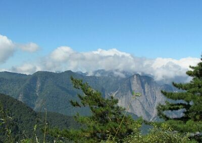 6D Classic Southern Taiwan 6D Classic Southern Taiwan