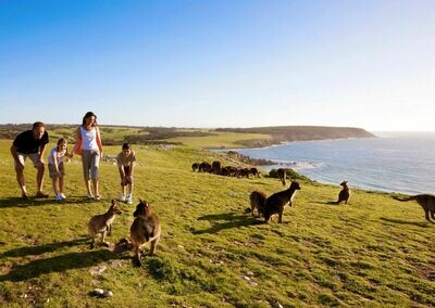 7D6N Adelaide to Kangaroo Island 7D6N Adelaide to Kangaroo Island