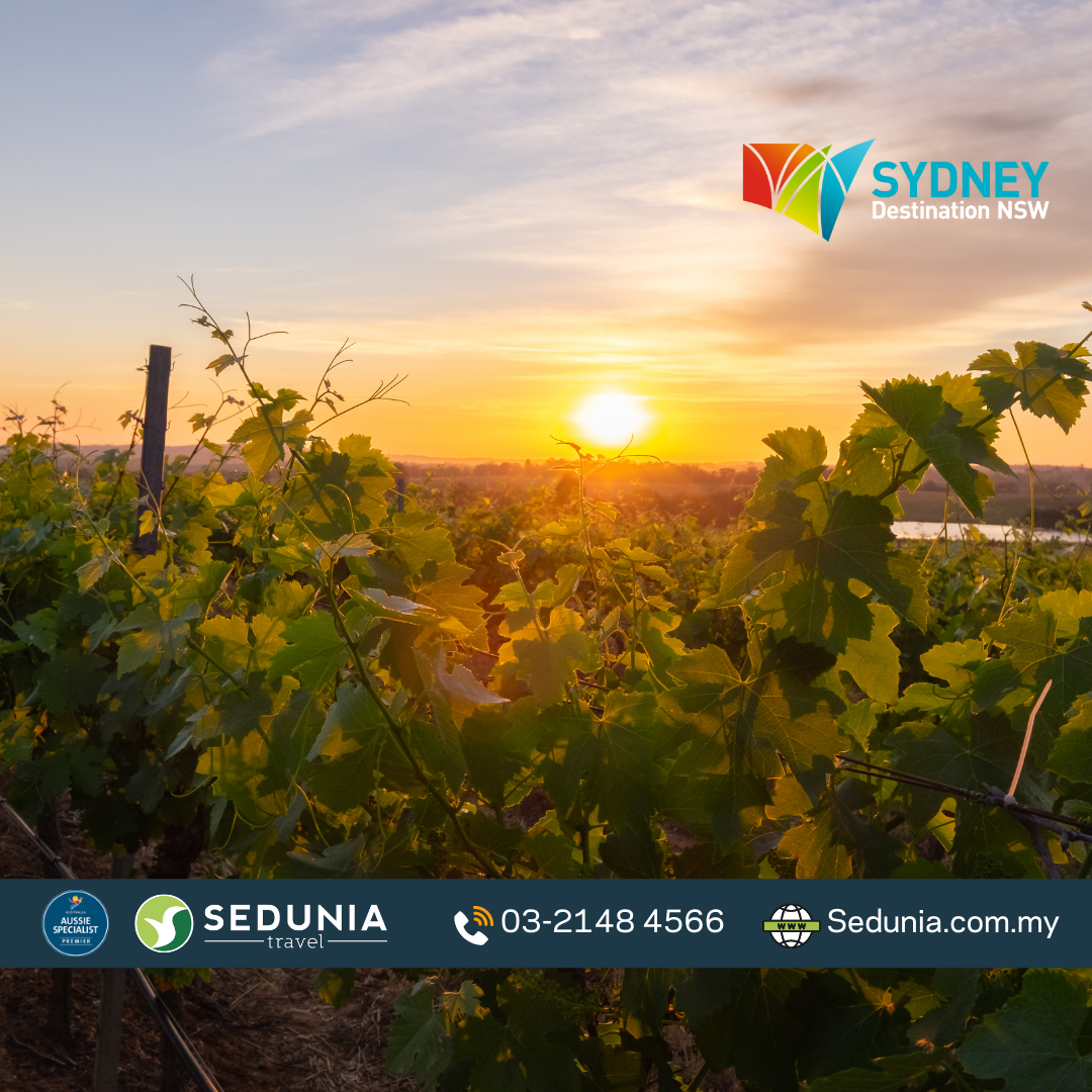 6D5N Sydney + Captain Cook Cruise + Hunter Valley + Blue Mountains