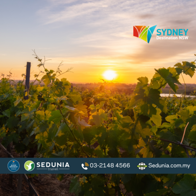6D5N Sydney + Captain Cook Cruise + Hunter Valley + Blue Mountain (SIC)