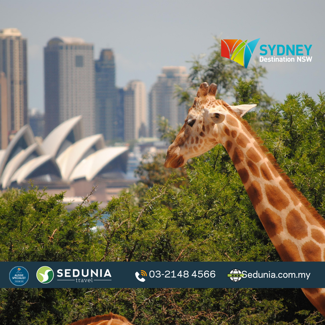 4D3N Sydney + Captain Cook Cruise Combo with Zoo - 1 DAY PASS
