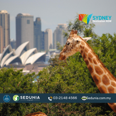 4D3N Sydney + Captain Cook Cruise Combo with Zoo - 1 DAY PASS (SIC)