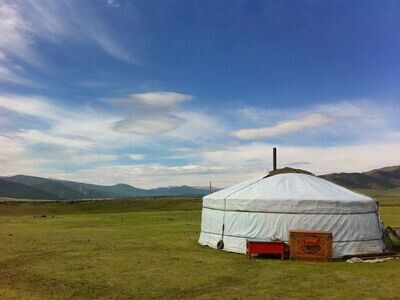 8D7N Inner Mongolia Grassland