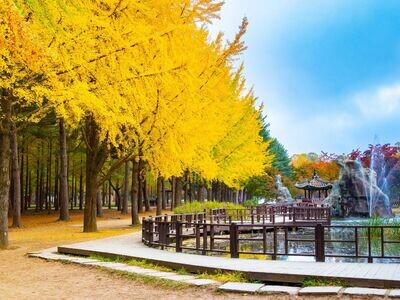 5D4N Delight Seoul (Chinese Speaking Drive-Guide)