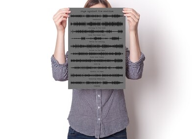 Rage Against The Machine Album Soundwave Poster