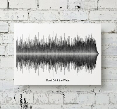 Dave Matthews Band - Don't Drink The Water Aluminum Soundwave Art