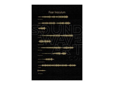 Tool - Fear Inoculum Soundwave Art Download