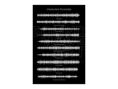 Joy Division - Unknown Pleasures Soundwave Art Download