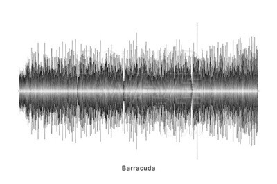 Heart - Barracuda Soundwave Digital Download