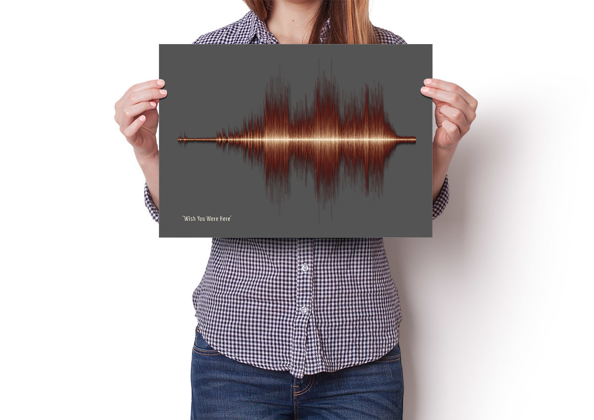 Pink Floyd Wish You Were Here Soundwave Poster Store Soundwave Art