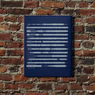 Foo Fighters - The Colour and the Shape Soundwave Canvas