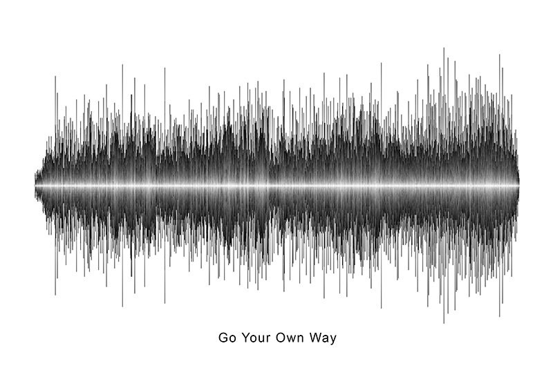 Fleetwood Mac - Go Your Own Way Soundwave Digital Download