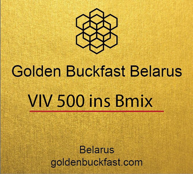 Матка ИО, F0 на июнь 2026 г проверенная на засев. При  оформлении заказа  - выбирайте Беларусь.