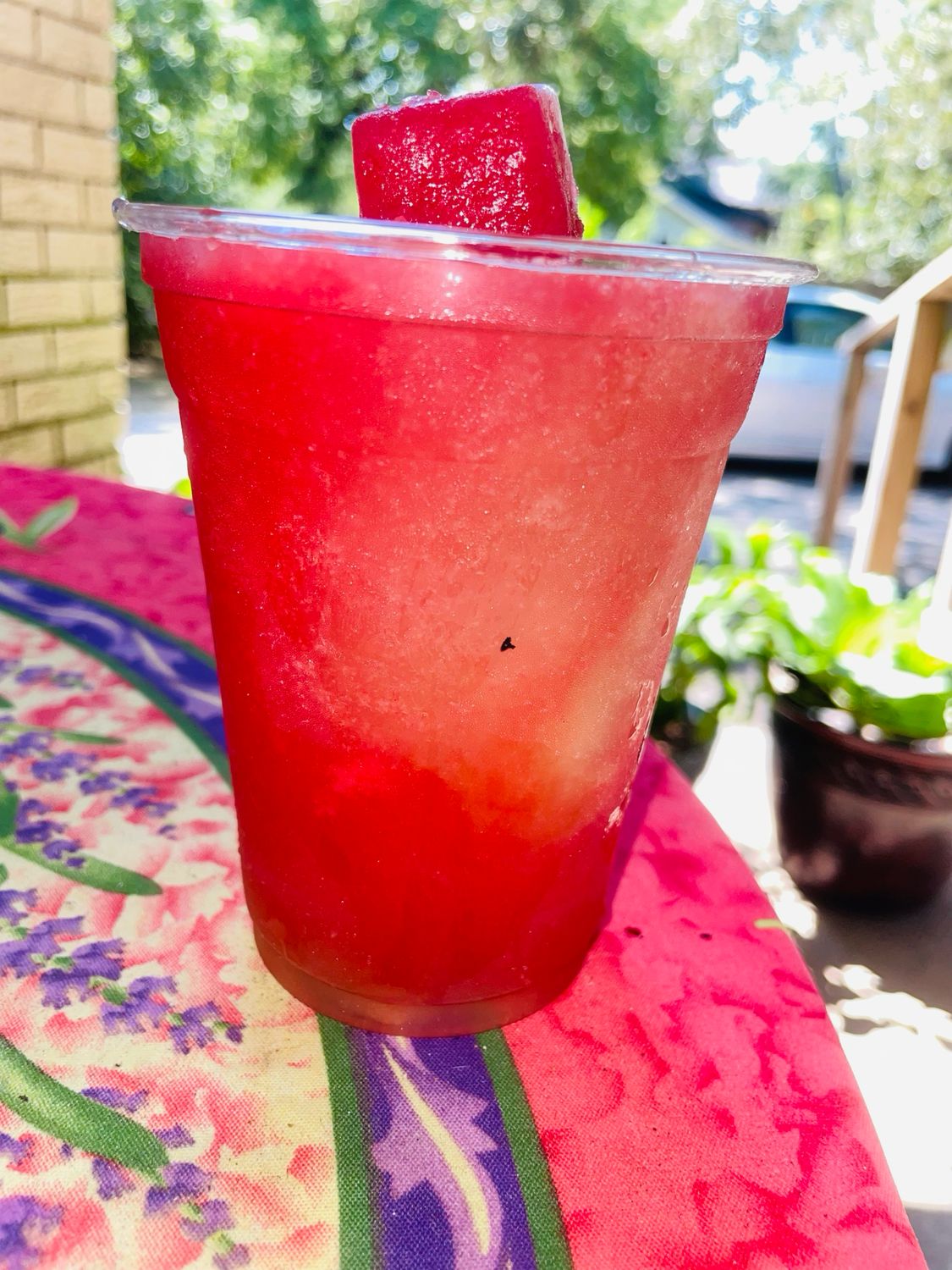 Watermelon Seamoss Lemonade 16oz