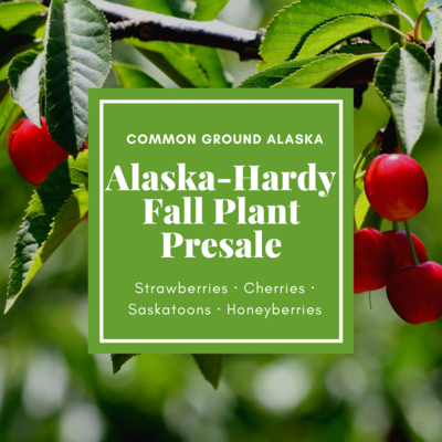 2020 Fall Alaska Hardy Bush/Plant Presale