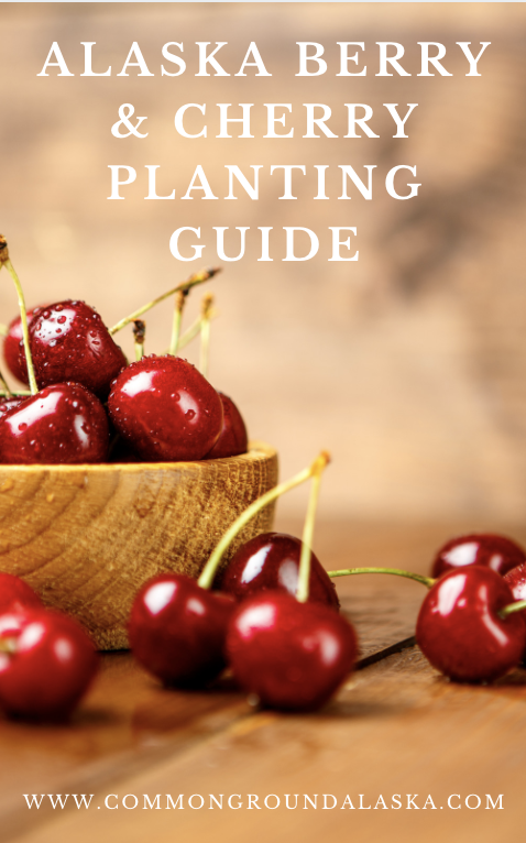 Alaska Berry and Bush Cherry Planting Guide Ebook