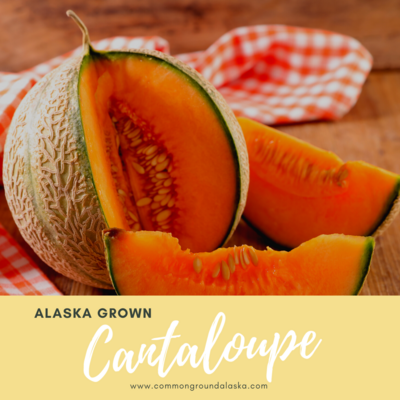 ALASKA GROWN CANTALOUPE