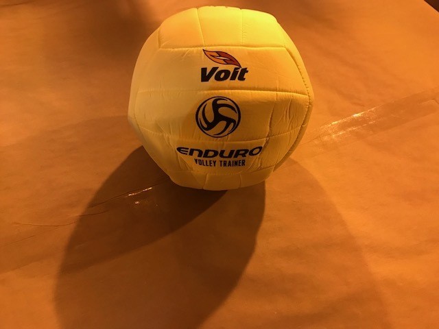 Volleyball, Starter