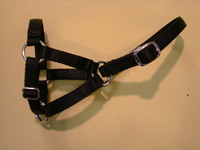 Fixed ring adjustable 5/8 nylon llama halter
