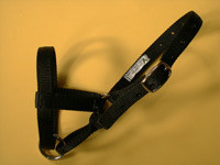 Standard Halter, 3ring 3/4 nylon