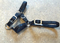 Llama driving halter