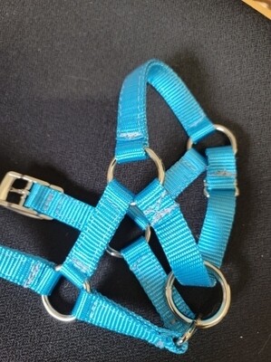 adjustable fixed ring 3/4 nylon halter