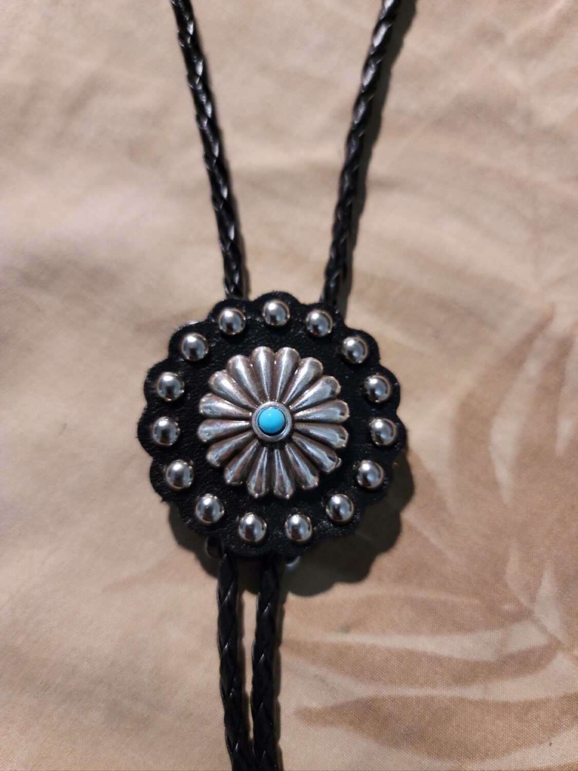 Blue Dot show bolo