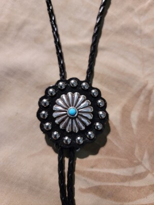Blue Dot show bolo