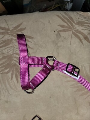 3 ring fixed ring 3/4 nylon llama halter