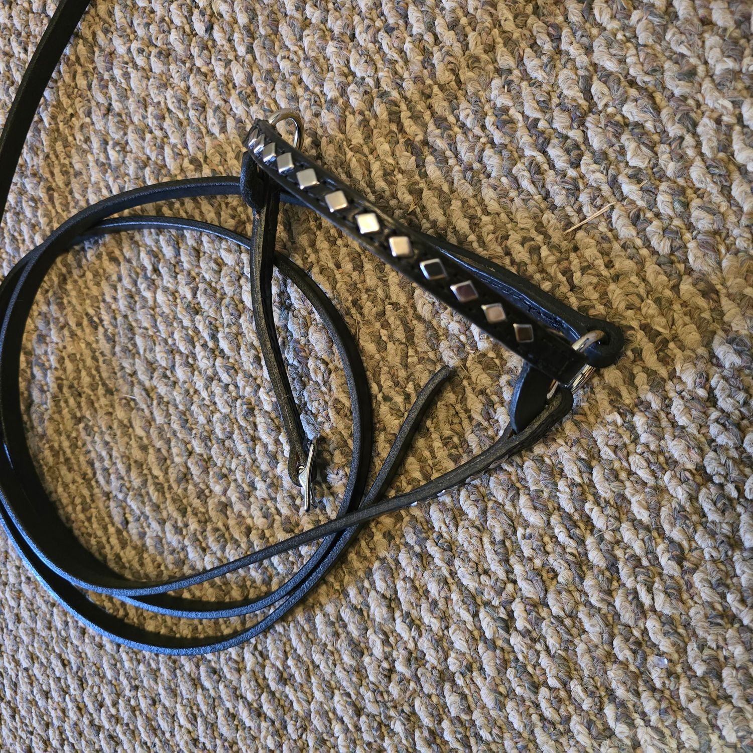 Cattle style show halter Cattle style show halter