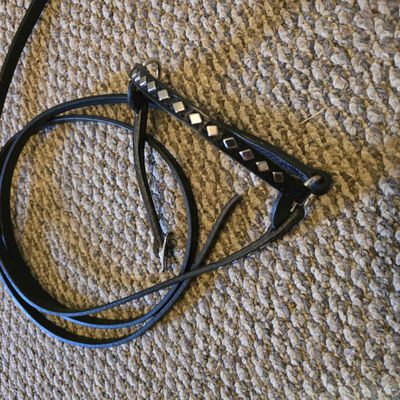 Cattle style show halter Cattle style show halter