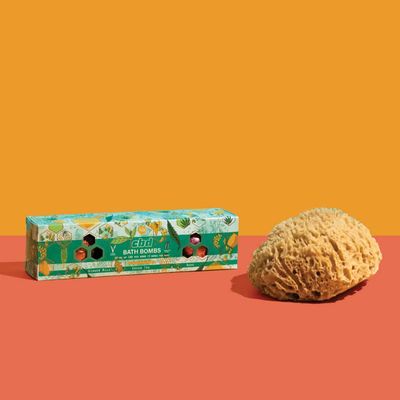 CBD Bath bombs (3pk) - Somebody