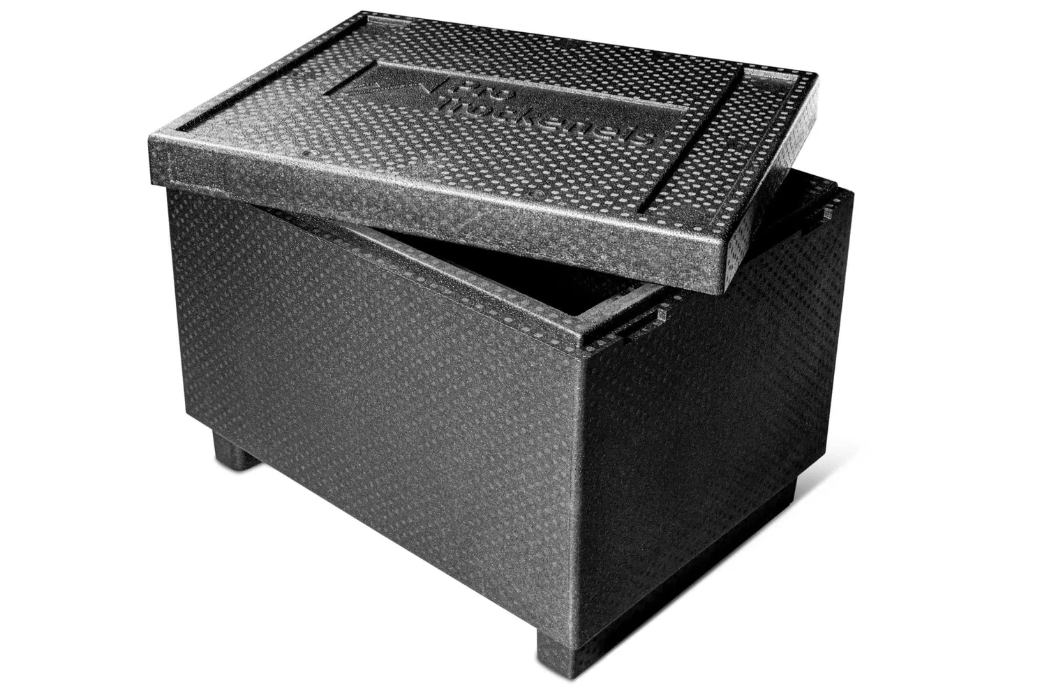 Dry ice Box PT 100