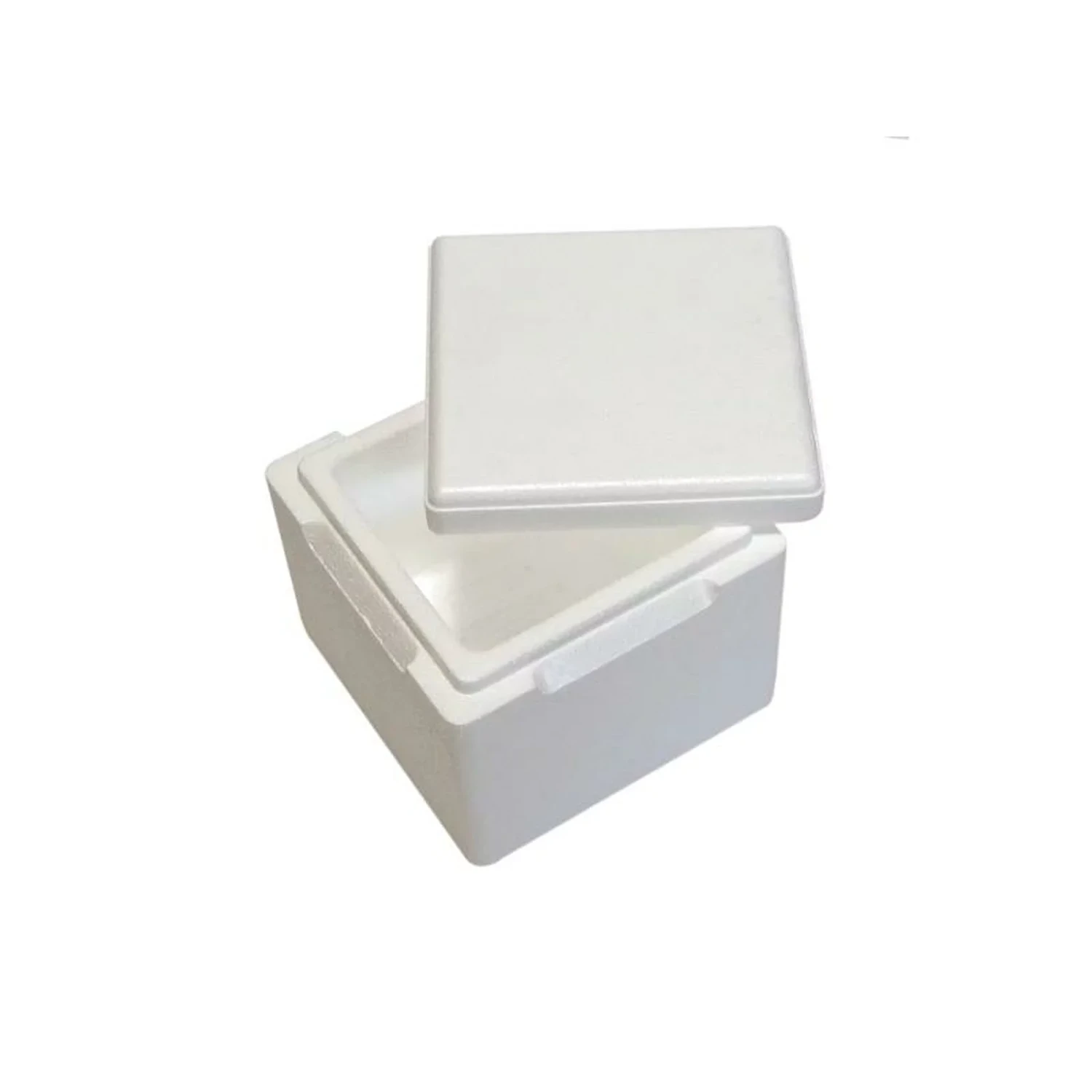 Thermo Box GN6