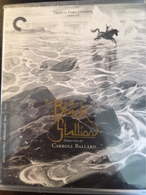 The Black Stallion – DVD - 2 Disks The Black Stallion – DVD - 2 Disks