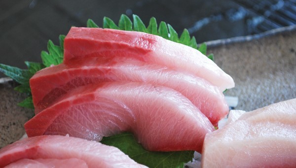 KATSU HAMACHI FILLET RED 5-6 LBS