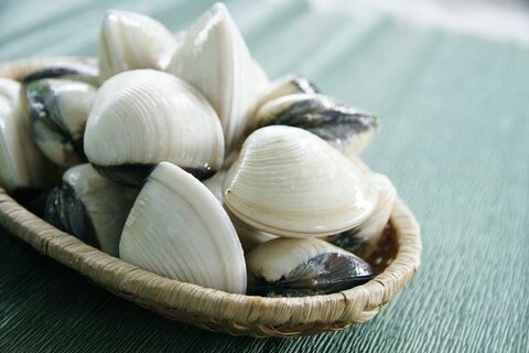 CLAMS WHOLE WHITE 17-22 CT