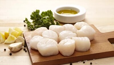 SCALLOPS