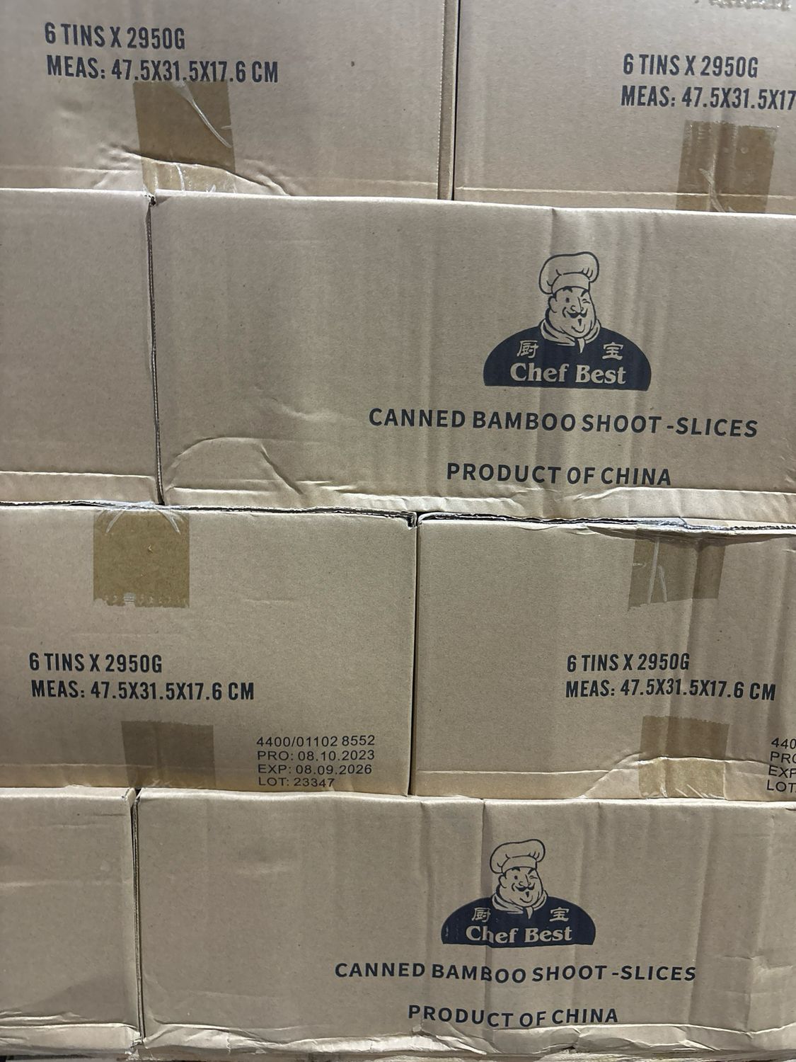 Bamboo Shoot Slice ( Tin )