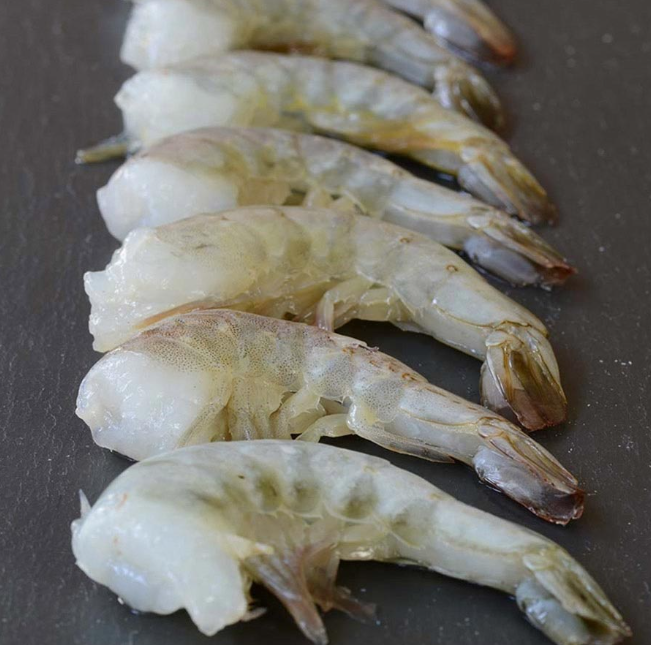 21/25 HLSO SOUTH AMERICA SHRIMP IQF 14 X 2LB/CASE